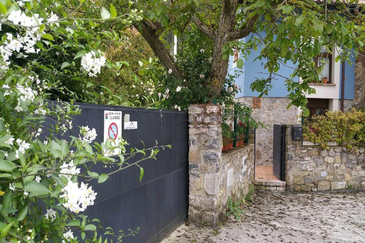 Casa De Aldea El Toral Guest House Rales  Exterior photo